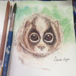 Slow Loris, WAter color on Paper